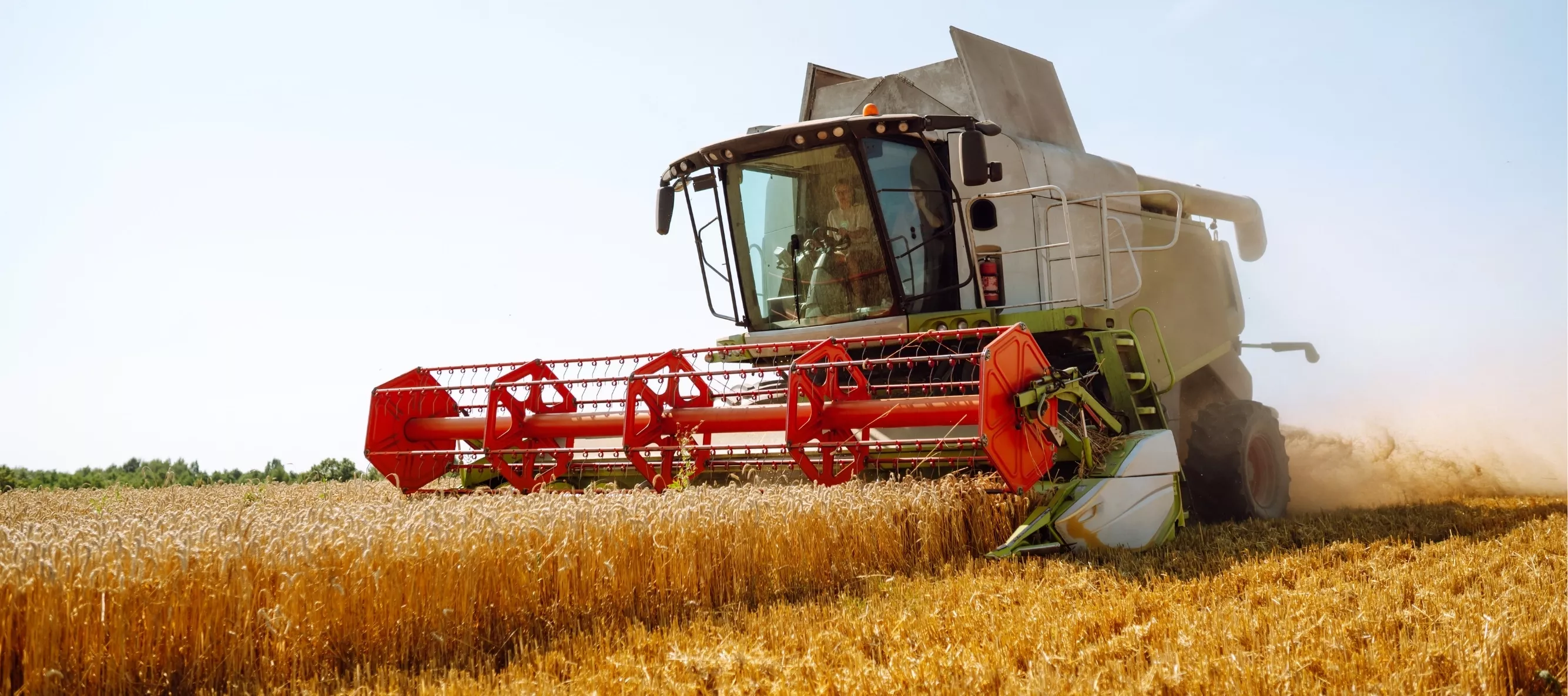 Venta de cereales de CEFEM en Toledo
