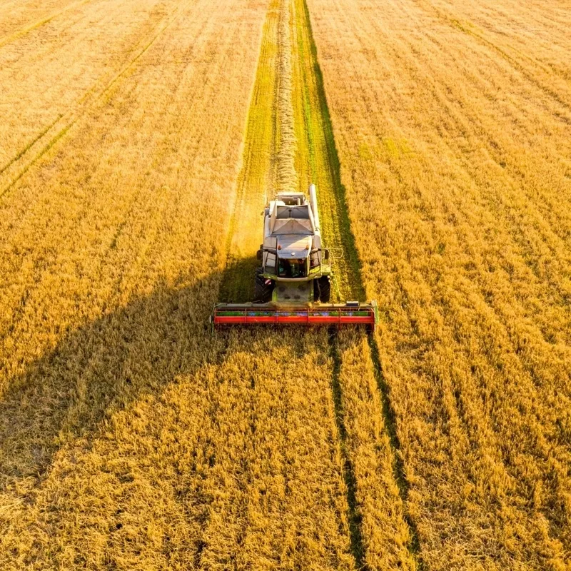 Valorización de residuos orgánicos para uso agrícola
