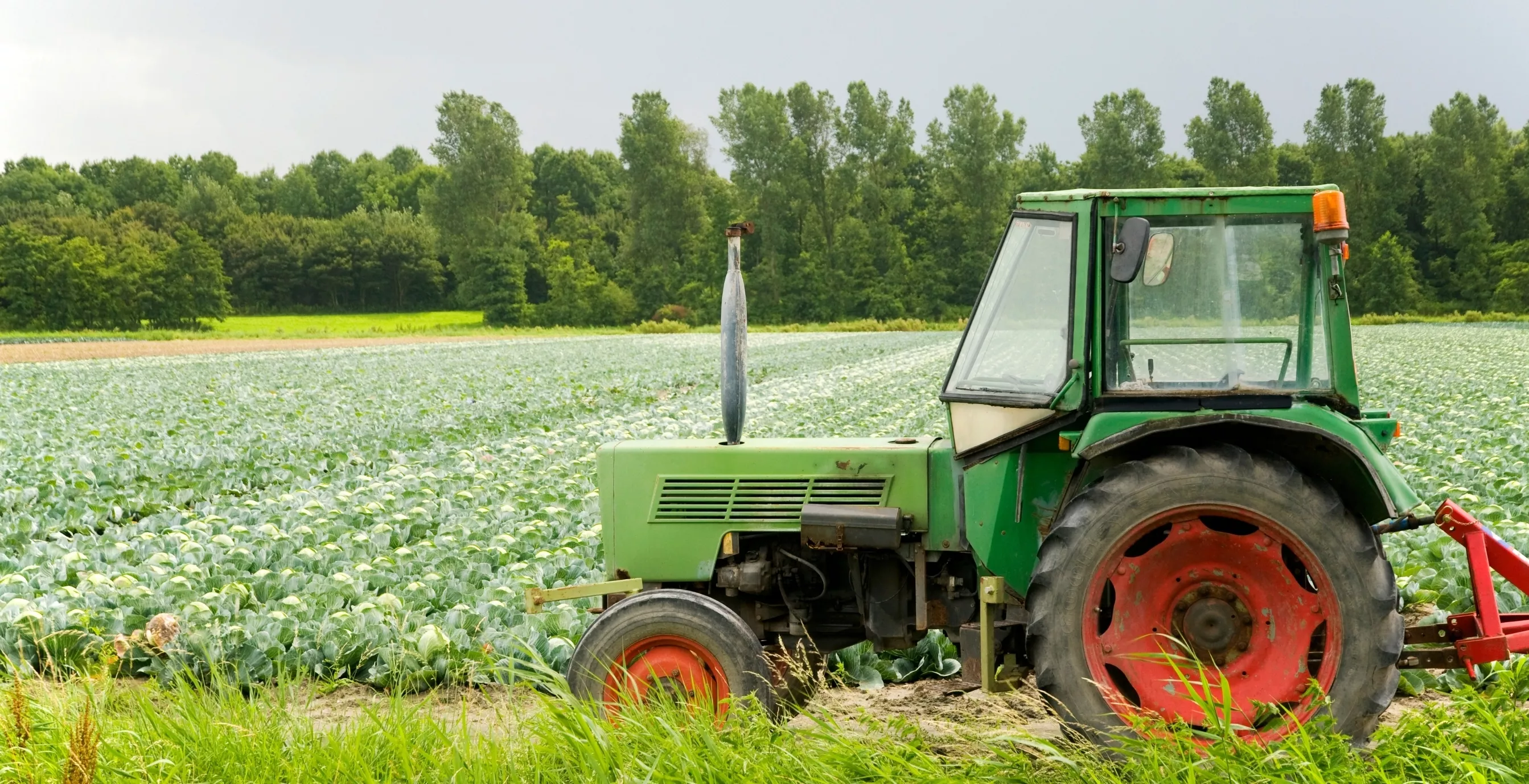 Valorización agrícola de residuos orgánicos