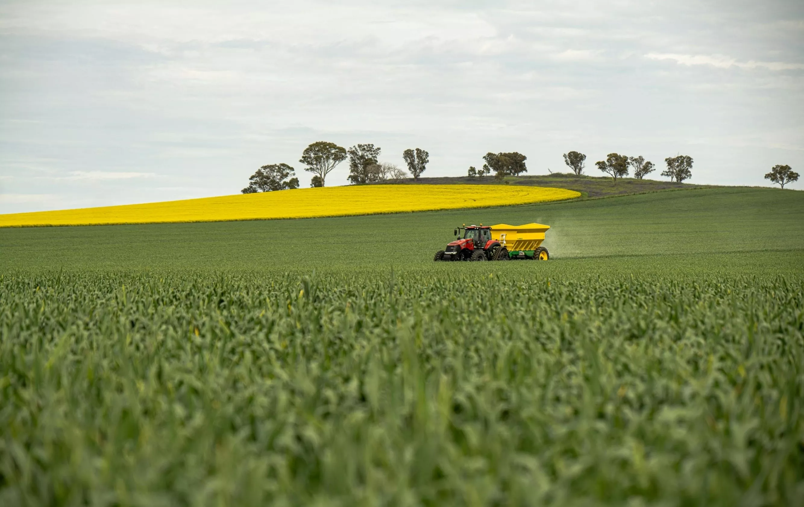 Abono orgánico para uso agrícola